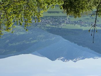 2025 05 03 09 18 32 511