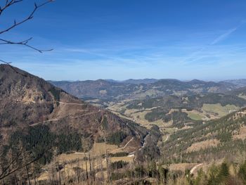 2025 03 09 10 27 55 156