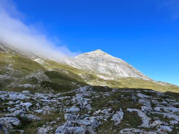 2023 09 16 09 41 30 376