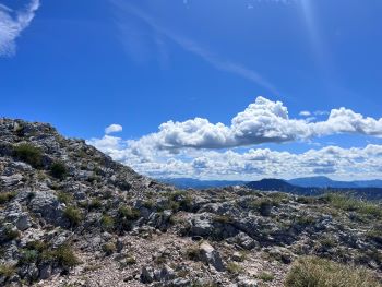 2023 07 29 11 36 28 659