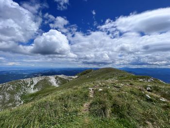 2023 07 29 12 28 03 998