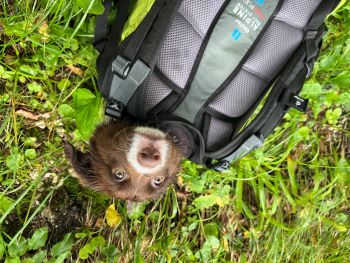 2023 07 29 14 21 06 465