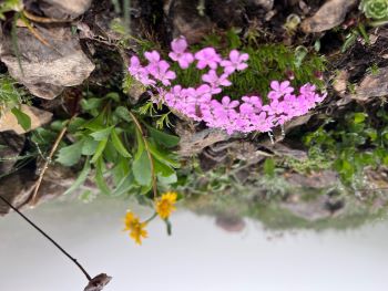 2023 07 02 09 58 18 249