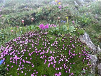 2023 07 02 10 37 31 535