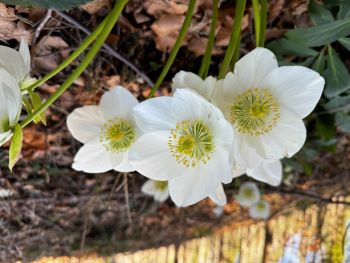 2024 03 03 10 36 37 830