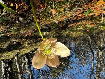 2024 03 03 11 18 58 062