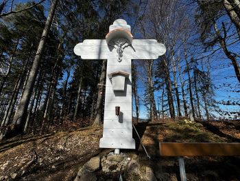 2024 03 03 11 50 15 650