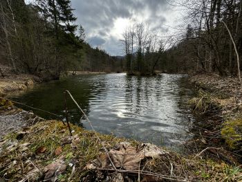 2024 03 10 09 09 37 862